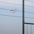 DSCF9800